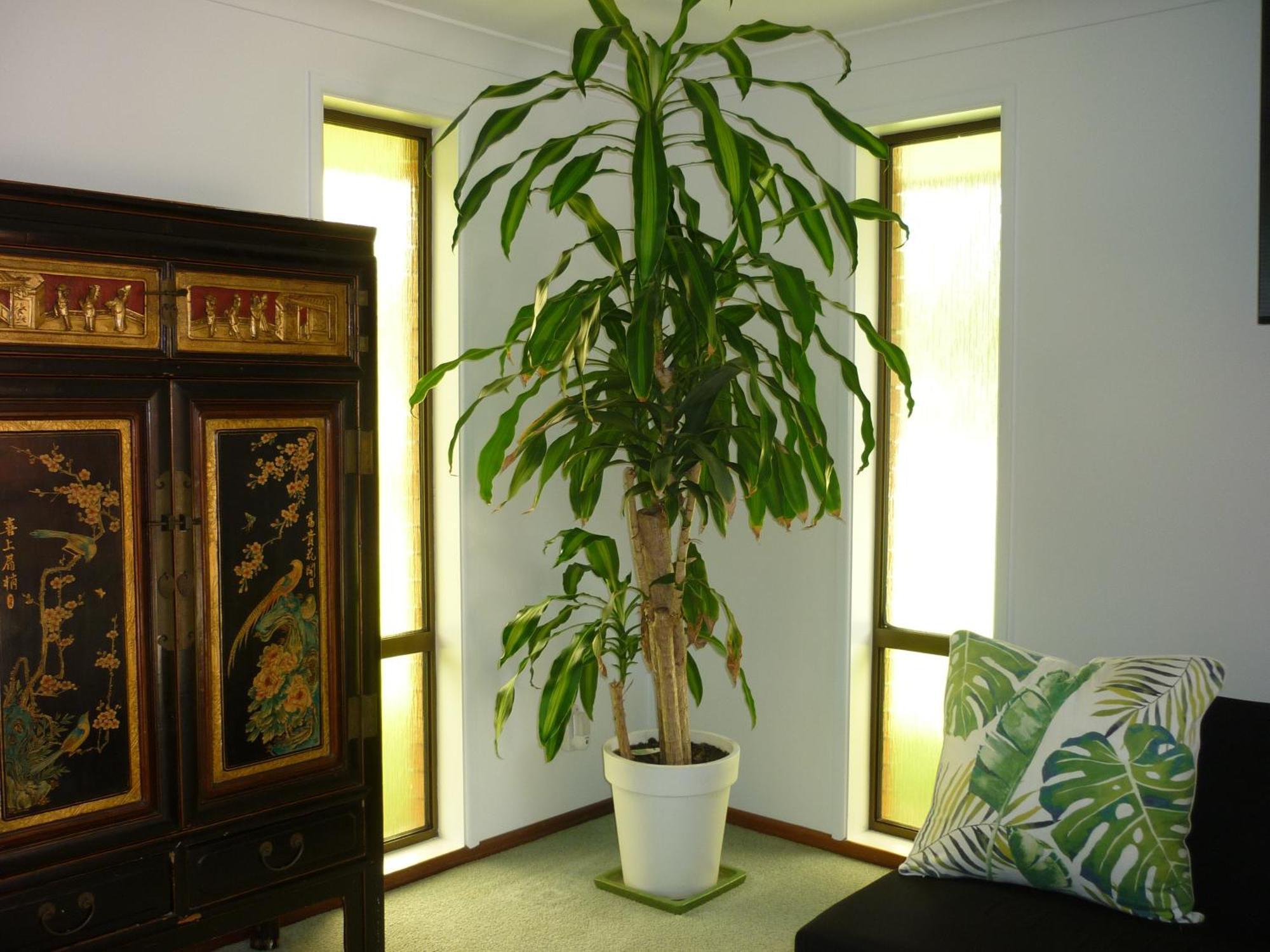 Bill'S Apartment Coffs Harbour Bagian luar foto